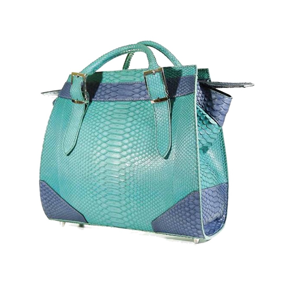 Unique one of a kind Snake skin two tone bag.